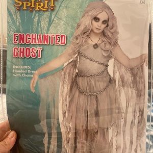 Enchanted Ghost Halloween costume. Only worn once and in great condition.